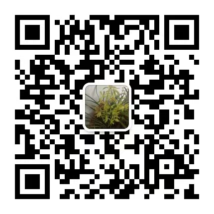 重庆塑料包装袋(图1)
