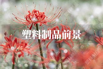 2023年塑料制品发展前景 塑料制品市场前景预测(图1)