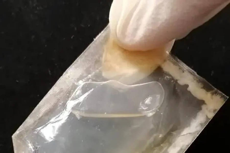 陈根：细菌纤维素制作的包装袋可以吃(图1)