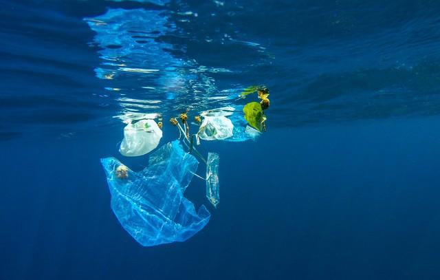 牛胃竟然能消化塑料？科学家：有一定概率还需研究(图3)