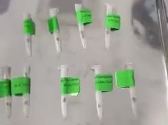 地毯里藏115558克海关查获过这些五花八门的方式(图6)