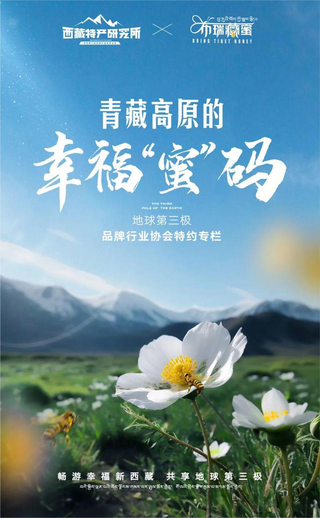 西藏特产研究所X布瑞藏蜜｜青藏高原的幸福蜜码(图1)