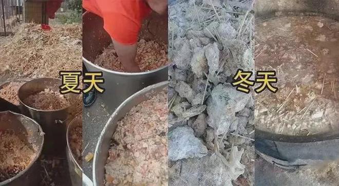 网友深夜被猫拦车下车一看…猫：青天大老爷可怜可怜我吧(图2)