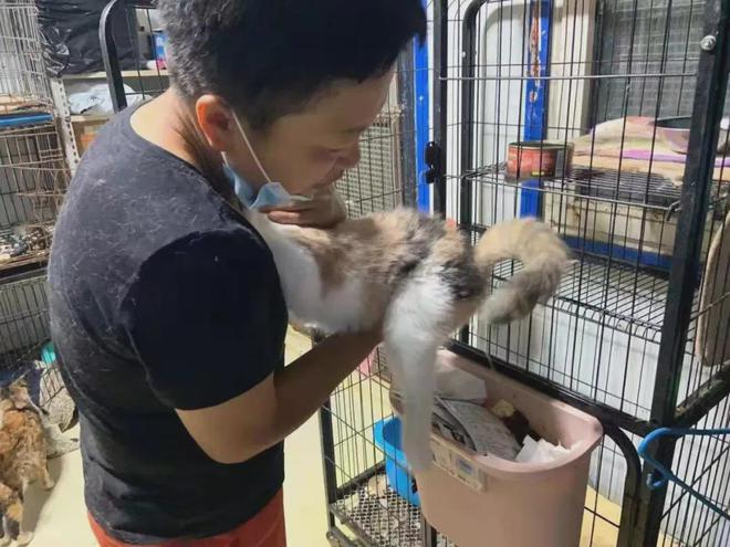 网友深夜被猫拦车下车一看…猫：青天大老爷可怜可怜我吧(图3)