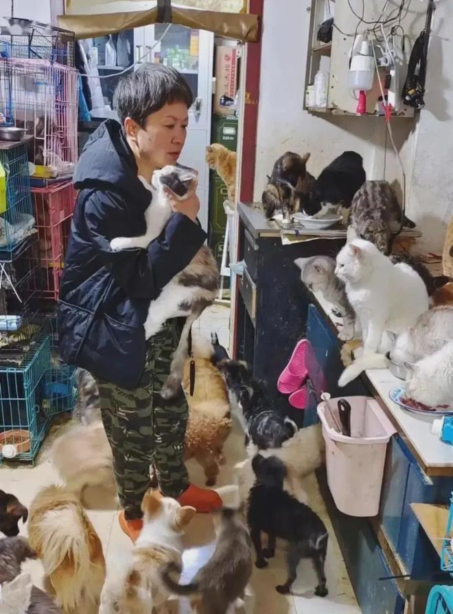 网友深夜被猫拦车下车一看…猫：青天大老爷可怜可怜我吧(图11)