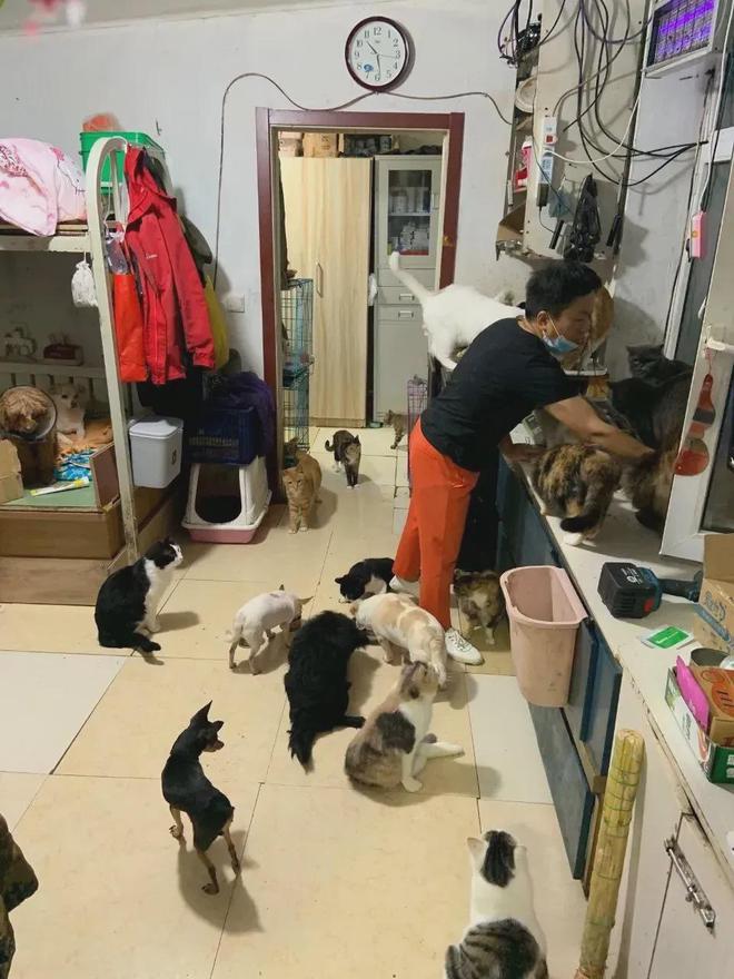 网友深夜被猫拦车下车一看…猫：青天大老爷可怜可怜我吧(图9)