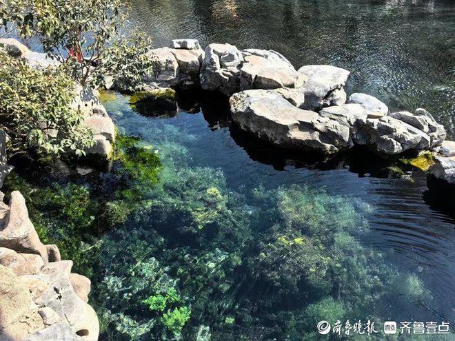 微纪录·草根力量护城河“美容师”：一船一杆守护“一池清水”(图7)