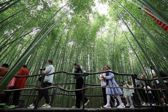 打脸西方的一招狠棋！中国敲定以竹代塑中国以后不让用塑料了？(图8)