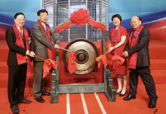 65后包装巨头老板曾叱咤江浙金融圈融资超15亿今暴雷了(图13)